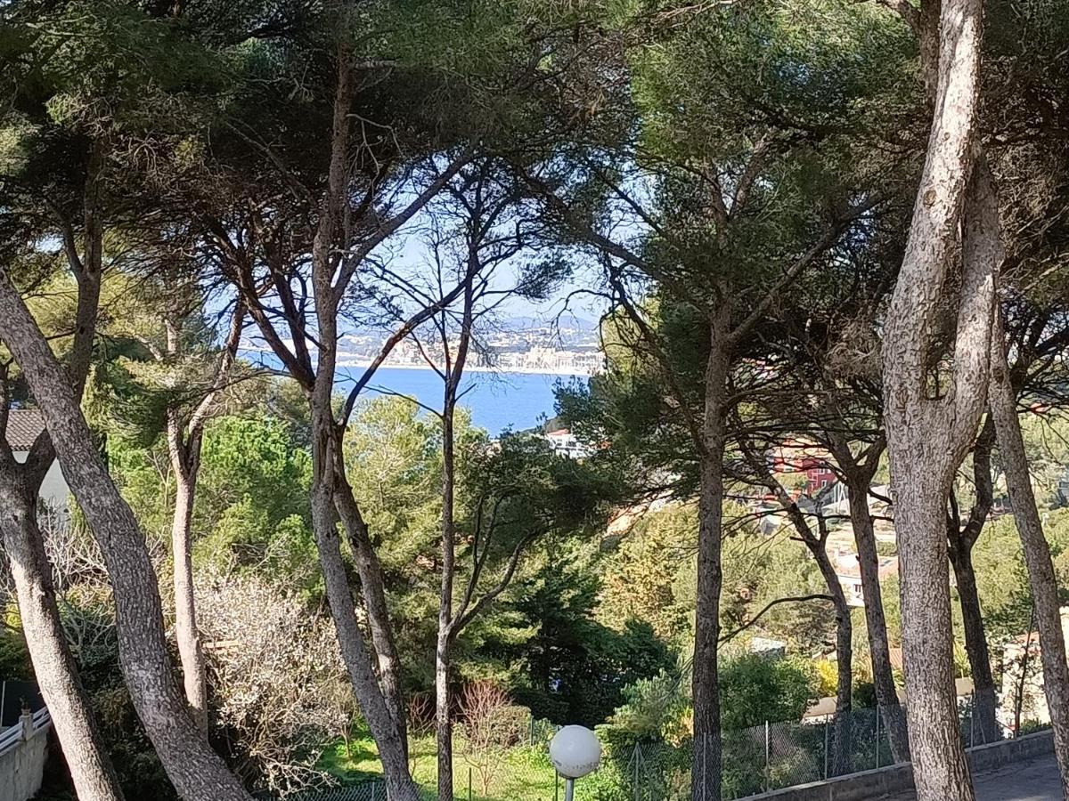 Appartement T2 Sanary Sur Mer Dış mekan fotoğraf